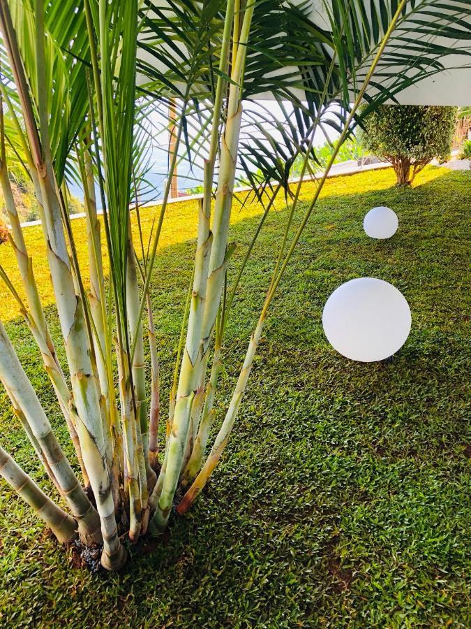 Vista Azul Villa Arco da Calheta  Ngoại thất bức ảnh