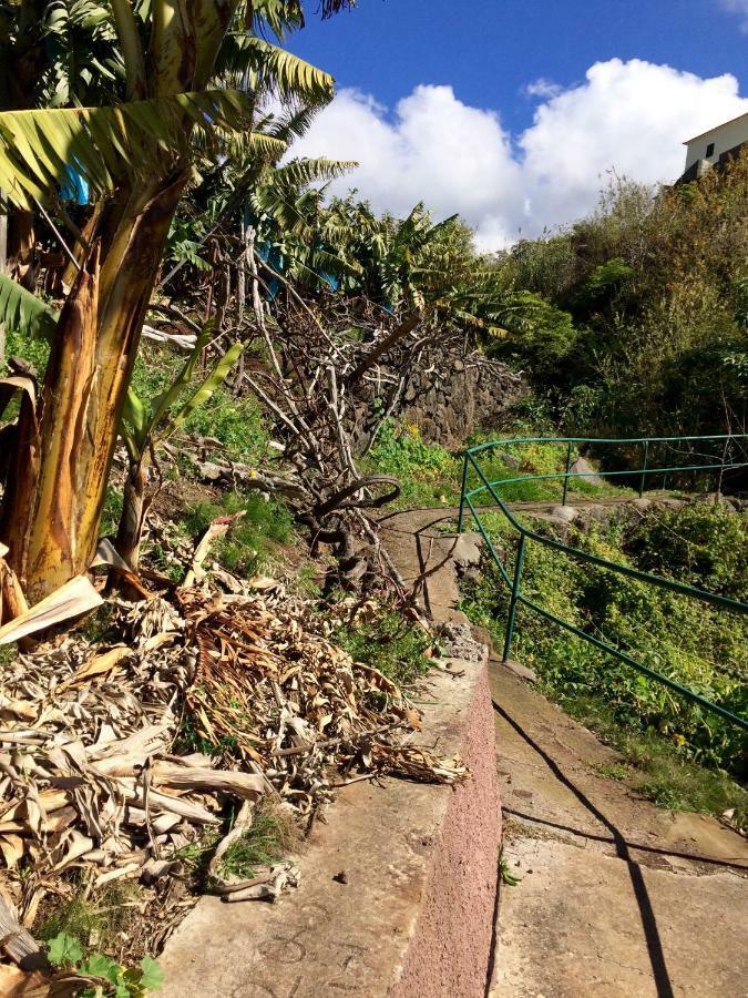 Vista Azul Villa Arco da Calheta  Ngoại thất bức ảnh