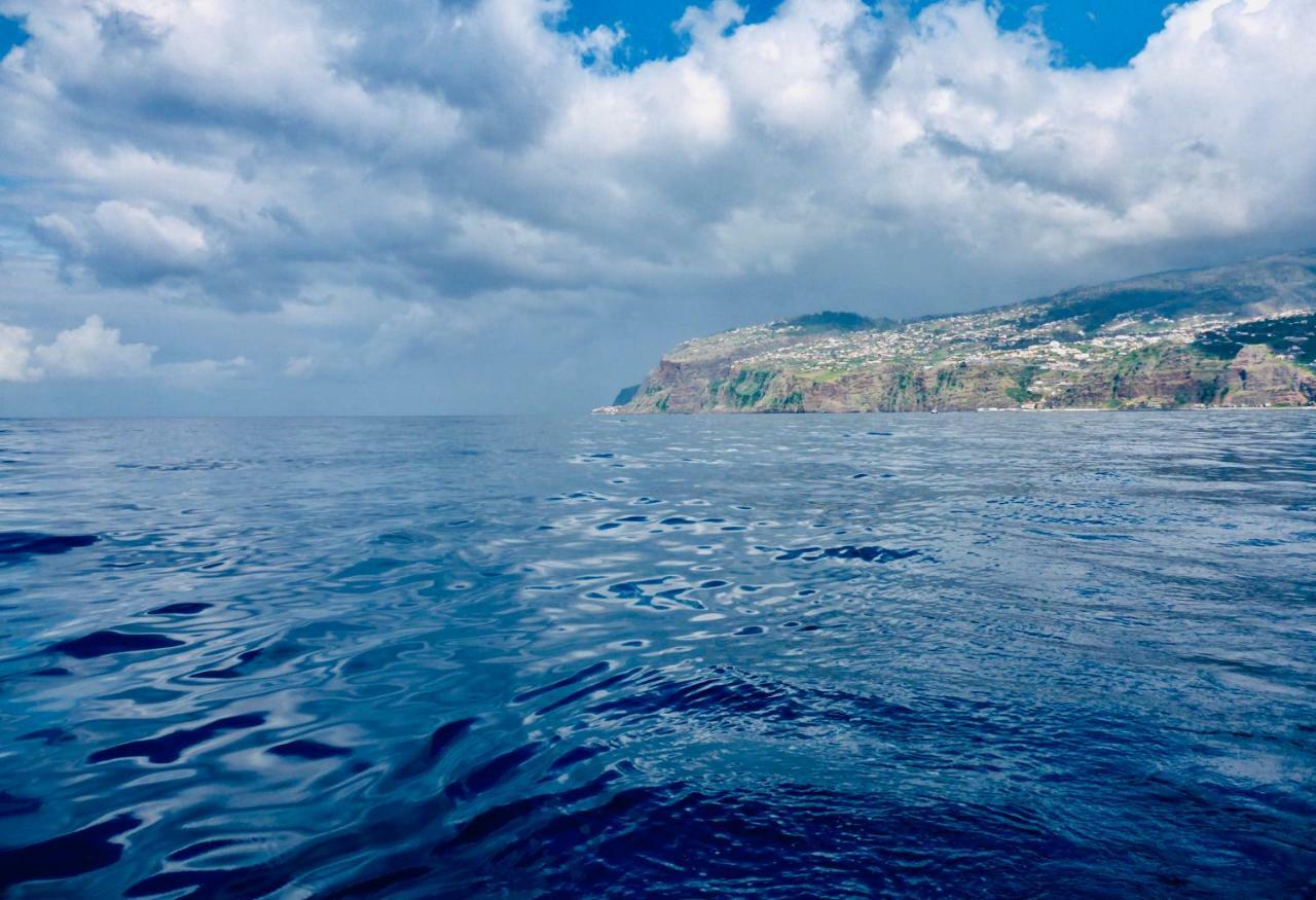 Vista Azul Villa Arco da Calheta  Ngoại thất bức ảnh